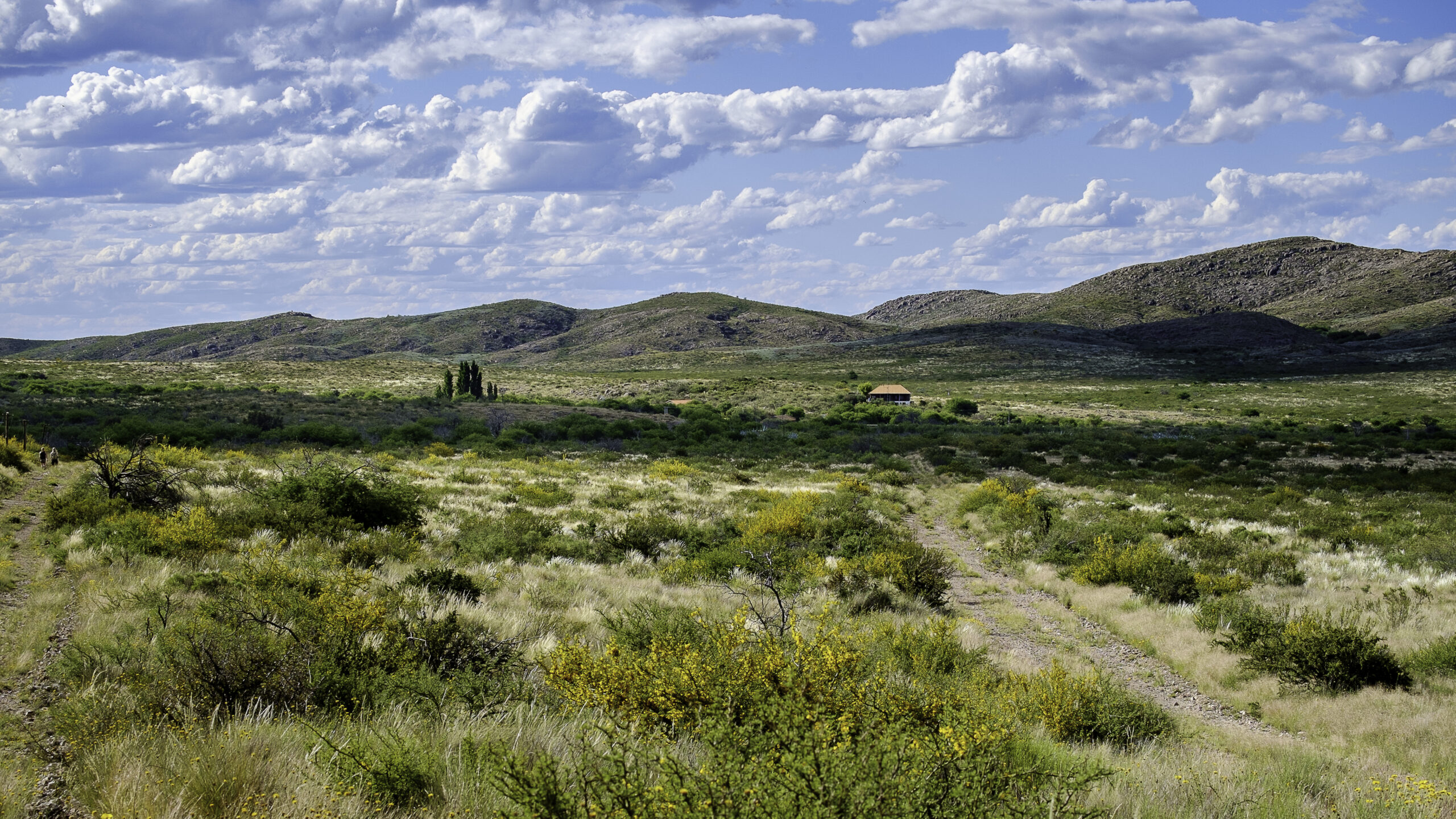 Laguna de Utracán: Un Espejo de Naturaleza y Paz en La Pampa